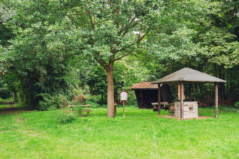 Grillplatz am Teich