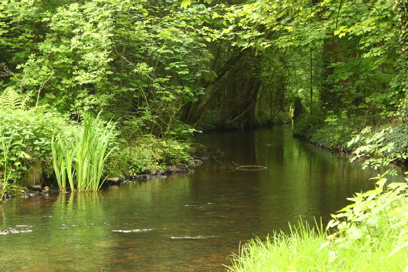 Schnegaer Mhlenbach