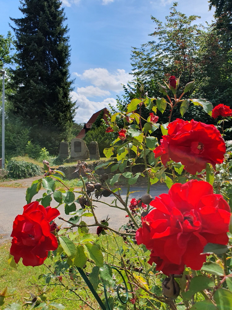 Sch�ping Bild 07