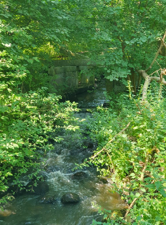 Thune Bild 10